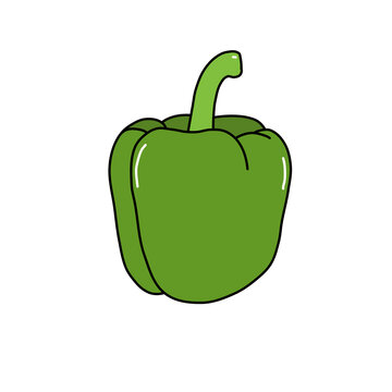 Fresh green bell pepper vector illustration in cute cartoon outline style