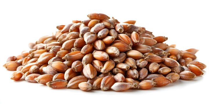 Golden wheat kernels are piled together on a white surface.