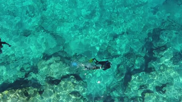 Aerial scuba diving training above rocky reef shows students and instructors in clear blue sea.