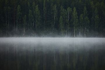 Obraz premium Fog covers the surface of a lake in the early morning. Green trees stand along the shoreline. Their reflections are visible in the still water. scene shows a quiet forest area