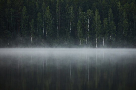 Fog covers the surface of a lake in the early morning. Green trees stand along the shoreline. Their reflections are visible in the still water. scene shows a quiet forest area