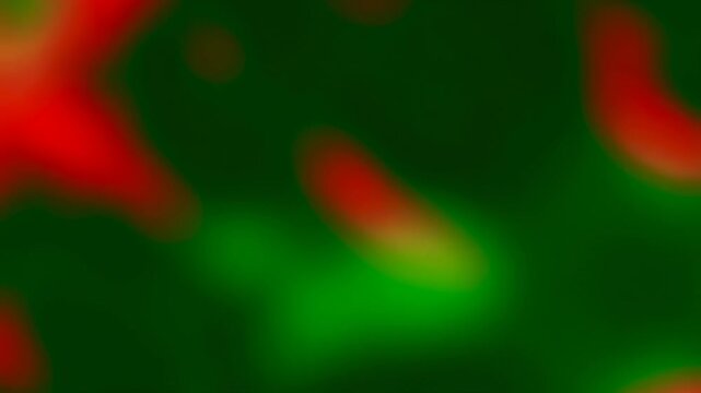 Blurry red and green color patches morph and flow smoothly across an abstract color field. Abstract background features blurry red and green with rhythmic movement.