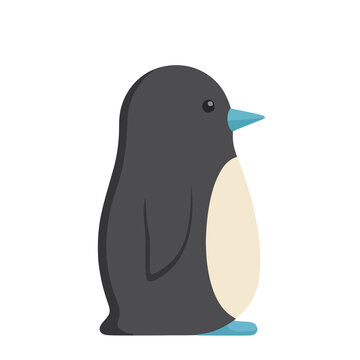 Flat illustration of a penguin