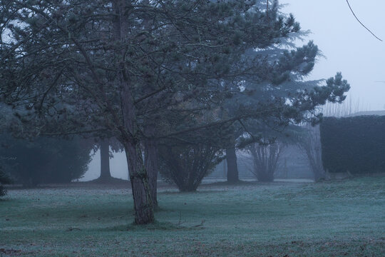 Paysages ruraux sous un temps gris et brumeux