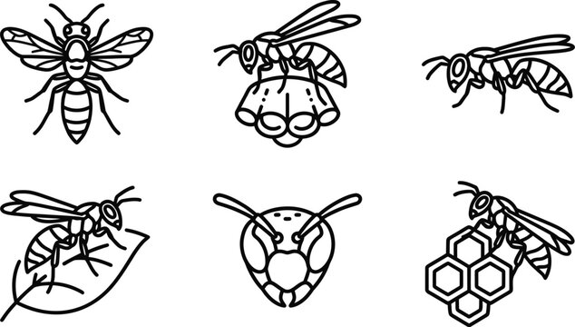 Hand Drawn Wasp and Hornet Illustration Collection with Insect Nest and Honeycomb Line Art on White Background