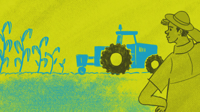 Farmer watching tractor in corn field