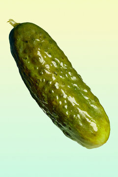 Still life close up of shiny green pickled cucumber against green background