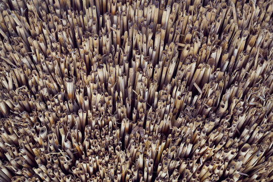 High angle full frame view of thatched roof edges