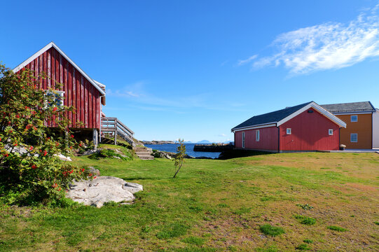 Traditional red wooden houses in Henningsv&aelig;r on the Lofoten Islands stand between green meadow and rocky coast overlooking the sea under a sunny blue autumn sky.