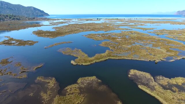 Aerial view of Dalyan delta wetlands in Mugla Turkey shows reeds marshes and lagoon water.