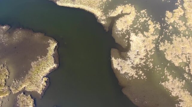 Dalyan wetlands in Mugla, Turkey, appear from an aerial drone perspective.