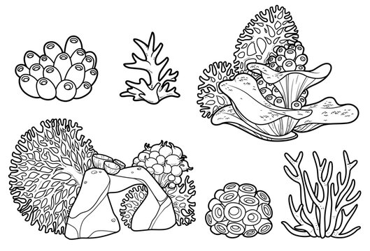 Sea objects small sponge colony, sandstone, corals, anemones outlined isolated on white background