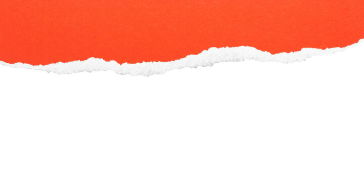 Rising orange torn paper edge on transparent background