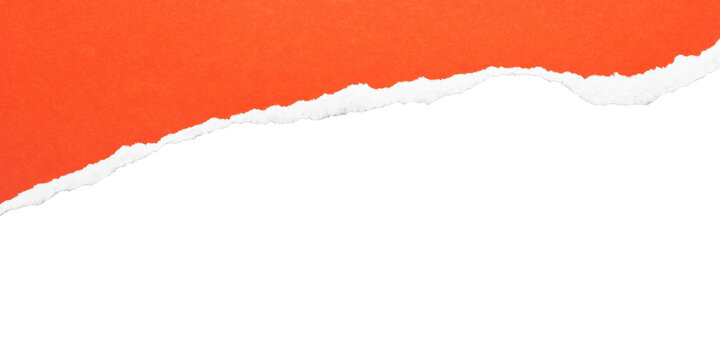 Rising orange torn paper edge on transparent background