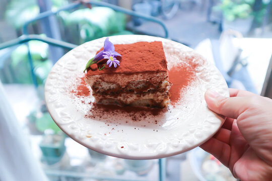 tiramisu or cake , cocoa cake or coffee cake or chocolate cake