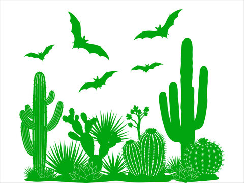 Green bats flying over cacti desert plants