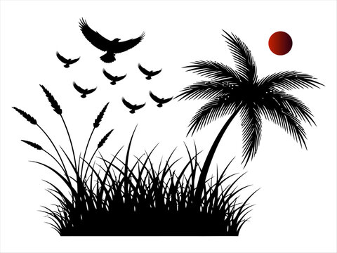 Black birds flying around palm tree at sunset