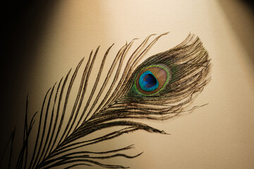 A single peacock feather with a distinctive eye pattern rests on a textured background © reddish