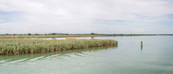 Fototapeta premium large Nicesolo canal between green rushes of lush reed, near Caorle, Italy