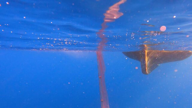 Fishing net is pulled underwater toward a boat through blue water in a working harvest scene.