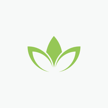letter w with leaf logo icon design vector design template inspiration.
