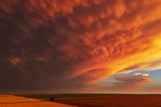 Mammatus clouds glowing at Sunset over kansas farmland