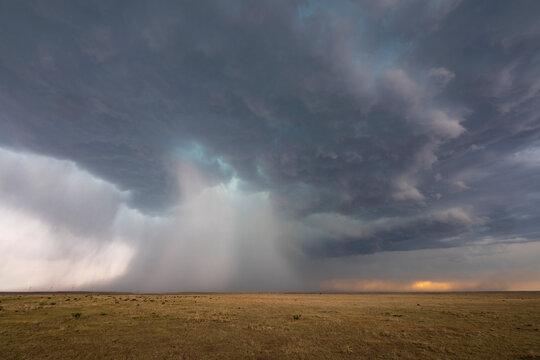Storm clouds unleashing heavy rain over dry grassland prairie