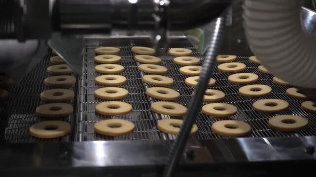 Cookies Moving Along Wire Mesh Conveyor in Bakery Factory