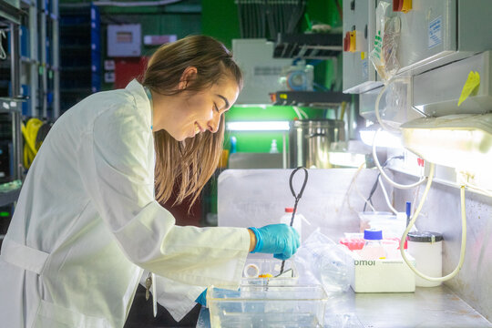 Female scientist conducting research in a laboratory in Spain