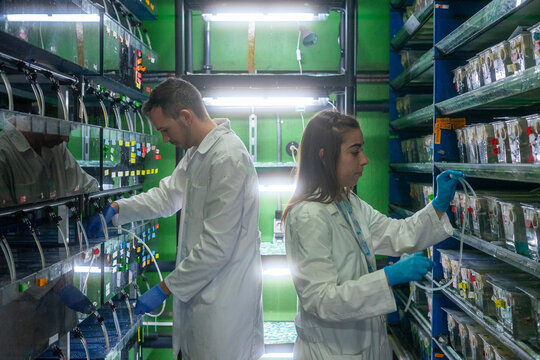 Two scientists conduct aquatic research in a laboratory in Spain