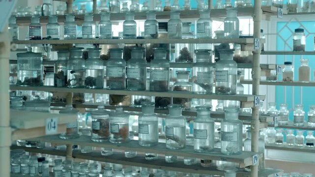 Thousands of clear glass jars with signed white labels containing embalmed fish, marine animals and others artifacts standing in the shelves. Shot in motion