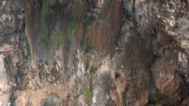 Rock soil layers line cave wall with stalactites, sediment bands underground geology detail.