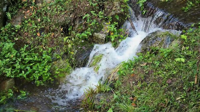 美山かやぶきの里を流れる恩谷川