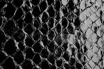 Black glossy python leather texture close up with reptile scale pattern for fashion background © reddish