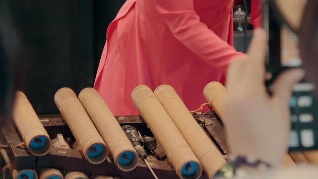 A lady in pink dress is playing on Vietnamese traditional musical instrument known as a T'rung, which is a bamboo xylophone by striking the bamboo with mallets
