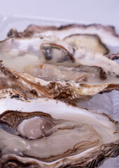 Fresh oyster on ice isolated with shadow on white background. clipping path. opened oyster close. Raw french oysters mollusc, shellfish or mussels collection top view. High quality photo © Nataliia
