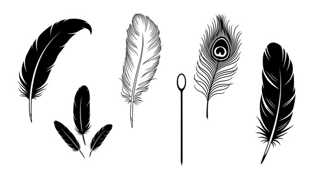 Set of black and white bird feathers sketch icons