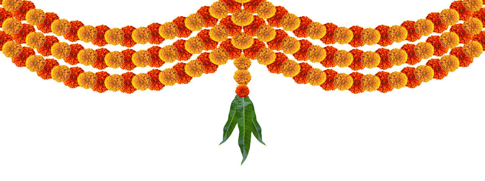 Marigold flowers hanging toran festive design element