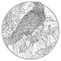 Obraz premium Raven and pumpkins in round frame. Autumn.Coloring book antistress for children and adults.