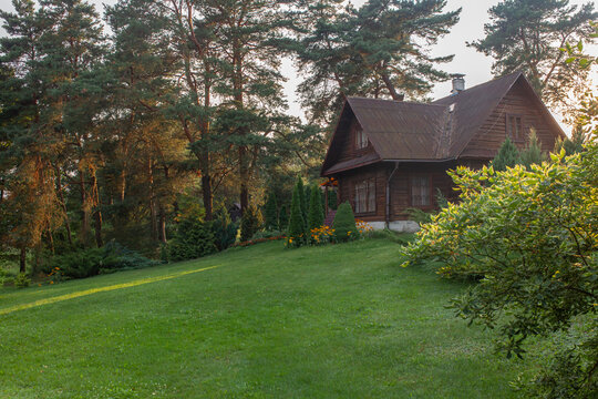 Cozy rustic wooden cottage nestled in serene forest landscape at sunset. Tranquility, rural life, eco-friendly living, retreat away from city, harmony with nature, countryside atmosphere. Copy space.