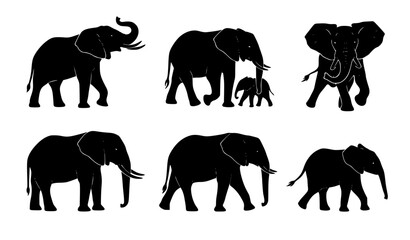 African Elephant Silhouette Vector Set - Elephant Family, Calf, Trunk Up, and Walking Poses © MdSobuj