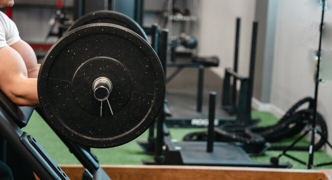 A muscular man trains in the gym, doing barbell curls for biceps. Bodybuilding concept.