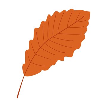 Stylized illustration of an orange autumn leaf with serrated edge and visible veins. Seasonal botanical design perfect for decor, textiles