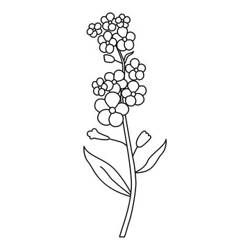 Black-and-white line drawing of a flowering plant with long stem, two leaves, and multiple five-petal blossoms. Elegant botanical illustration perfect for coloring
