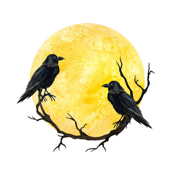 Two black crows perched on a dry branch against a large yellow full moon. Hand drawn watercolor illustration isolated on transparent background for spooky Halloween designs