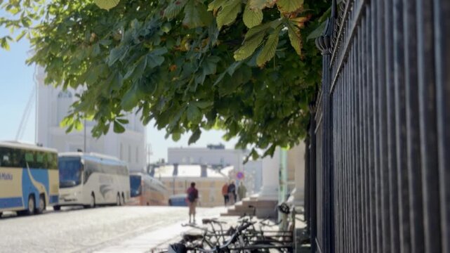 Urban Helsinki Unioninkatu B-roll: Early Autumn Oak Leaves Above a Busy City Street