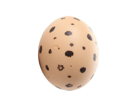 Speckled Egg: A single speckled egg rests isolated, its shell adorned with natural dark brown markings, symbolizing new beginnings and fragility.