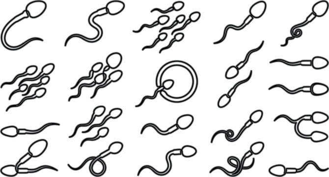 Human Sperm Cell Outline Icon Vector Set Featuring Minimalist Conception, Fertilization, and Reproductive Health Symbols Isolated on White Background