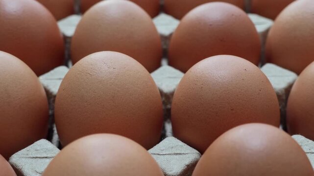Fresh organic brown chicken eggs in cardboard tray