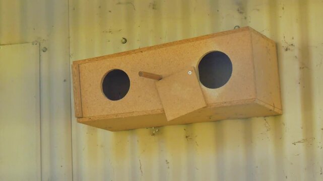 Bird nesting hut in the cage